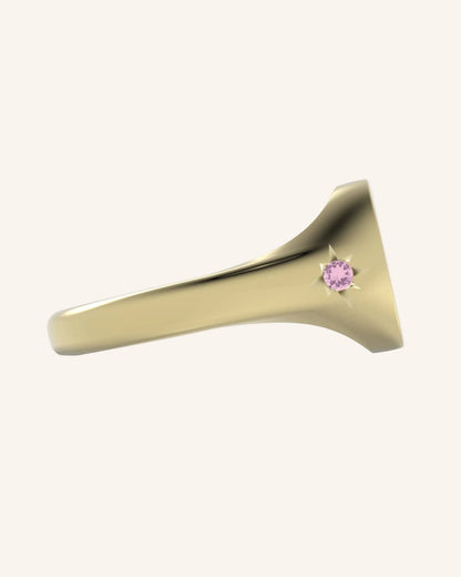 Mini Pinky Round Signet with Double Gems | Gold